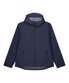 French Navy
